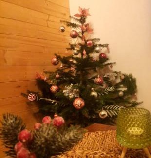 Zabljak Ski Chalet | Cottage Mila