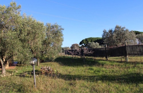 Cecina House | Cottage with a great fenced garden in the Tuscan countryside