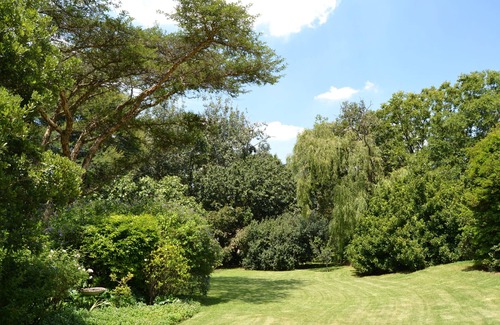 Greater Johannesburg Metropolitan Area Cottage | Country living - 5 minutes from Sandton CBD