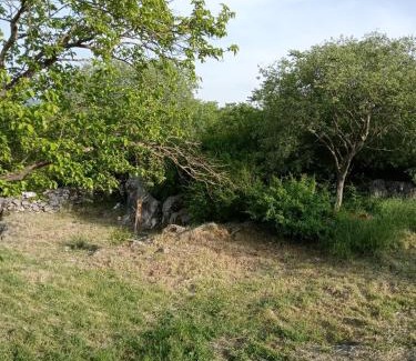 Pricelje Apartment | Country stone house Kovacevic