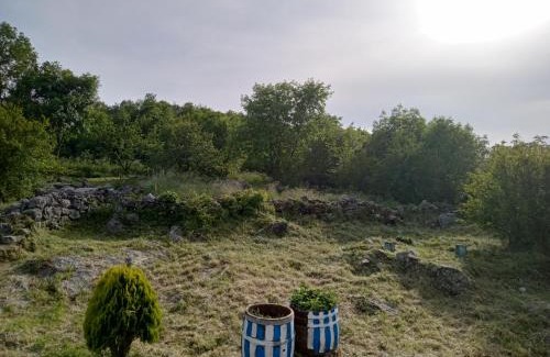 Pricelje Apartment | Country stone house Kovacevic