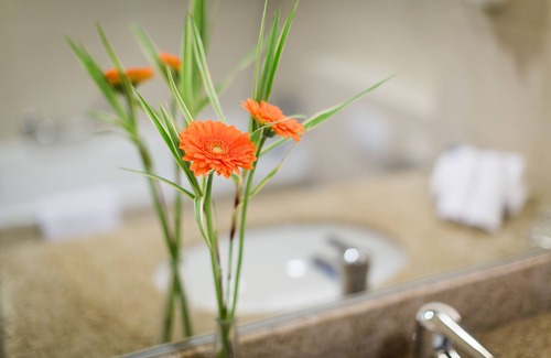 Evere Hotel | Courtyard by Marriott Brussels
