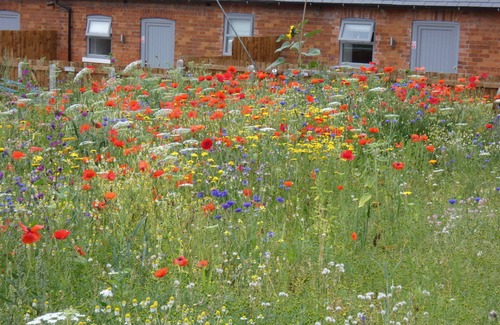 Cottingham Cottage | Cow 'ouse, Wolds Way Holiday Cottages