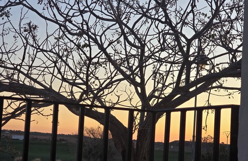 Sucina Apartment | Coziness trumps all at Casa Gusto at Spain's Hacienda Requilme Golf resort.