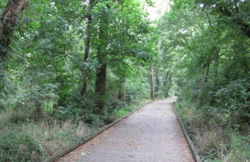 Charlotte House | Cozy 2 Bedroom Duplex In Charlotte, Jacuzzi, Sleeps 6 plus 2