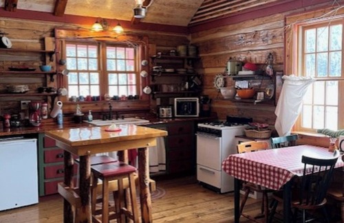 Nemo Cabin | Cozy 2 bedroom rustic cabin, once long ago, a BARN, today called BARNHOUSE…!