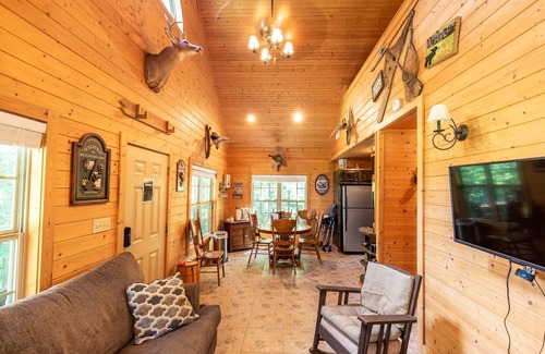 Jasper Cabin | Cozy 2-BR cabin in the beautiful Arkansas forest!