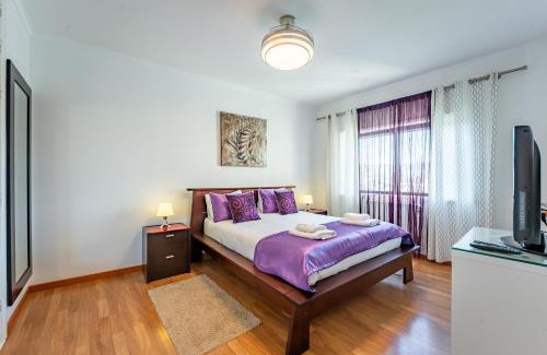 Oliveira do Douro Apartment | Cozy and Quiet Spacious Flat