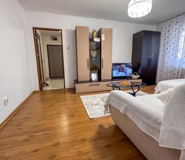 Pitesti Apartment | Cozy Apartment Craiovei