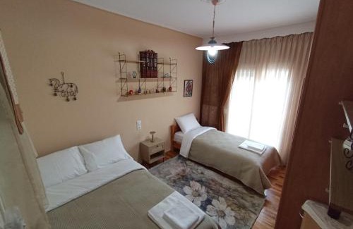 Grevena Apartment | Cozy Apartment in Grevena