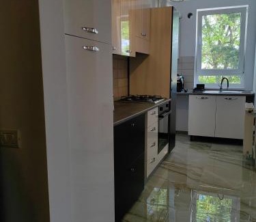 Gura Humorului Apartment | Cozy Apartment