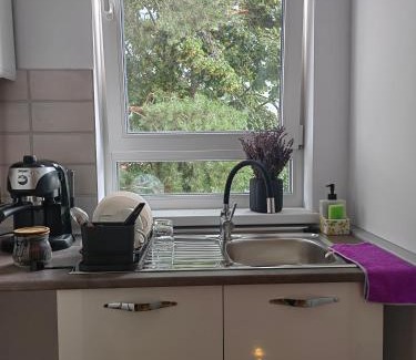 Gura Humorului Apartment | Cozy Apartment