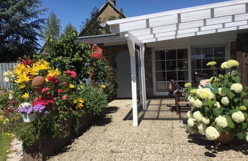 Kellinghusen Apartment | Cozy apartment with separate entrance and terrace