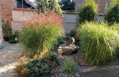 Dettelbach Apartment | Cozy basement apartment (40sqm) with terrace