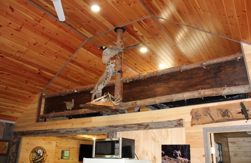 Jasper Cabin | Cozy cabin in charming Hornell.Riding distance to Tall Pines and close to Alfred