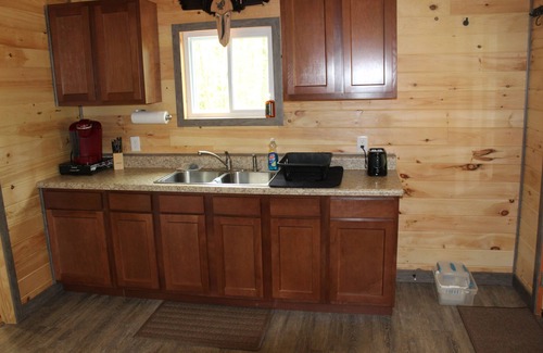 Jasper Cabin | Cozy cabin in charming Hornell.Riding distance to Tall Pines and close to Alfred