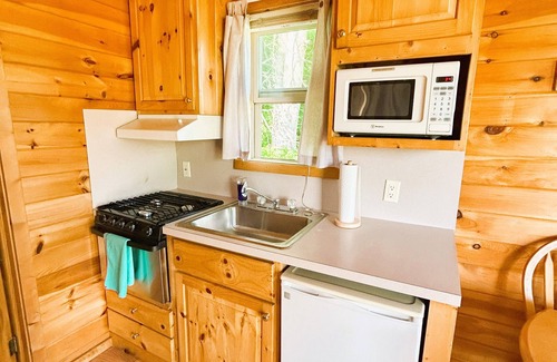 Fort Ann Cabin | Cozy Cabin
