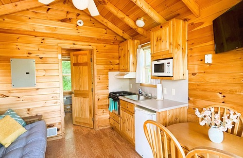 Fort Ann Cabin | Cozy Cabin