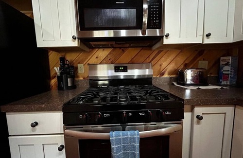 Alpine Lake Apartment | Cozy Cabin your perfect pet friendly mountain escape