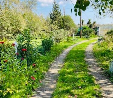 Kefalovriso House | Cozy Corfu Bungalow 5 minutes to Aqualand