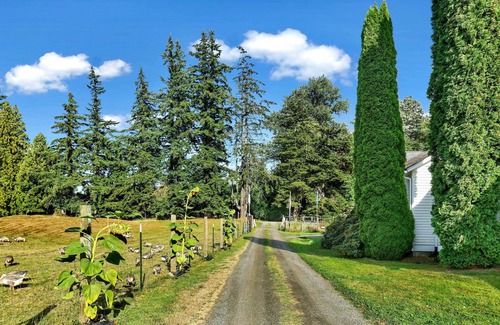 Ferndale Apartment | Cozy Ferndale Studio on 20-acre Working Farm!