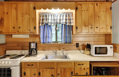 Greentown Cabin | Cozy Lake Cabin 3 with Boatdock