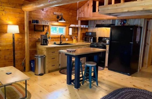 Sherman Station Cabin | Cozy Lakefront Log Cabin
