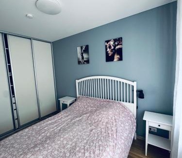 Vilnius city municipality Apartment | Cozy Ozo Park Apartment, Pet Friendly with Workspace