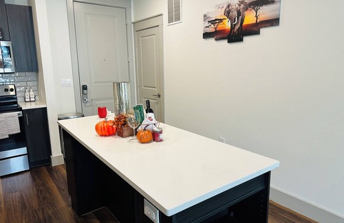 Farmers Branch Apartment | Cozy place with great atmosphere away from home