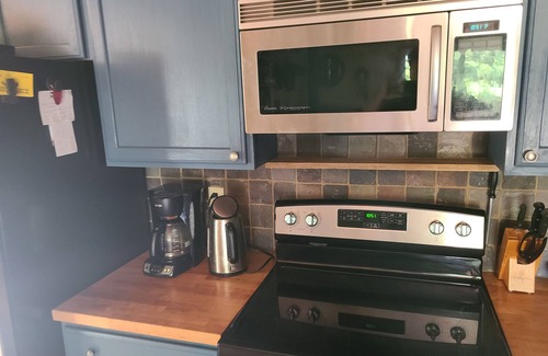 Webster Cabin | Cozy Private Lake Cottage 3-bedroom in the Northwoods with AC, Wi-Fi