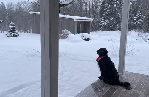 Greensboro Apartment | Cozy retreat in Greensboro Northeastern Kingdom Vermont