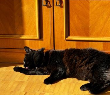 Falun House | Cozy room surrounded by nature