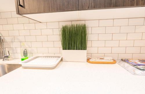 Calgary Apartment | Cozy Springs