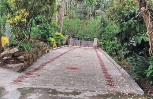 Sangameswarpet House | Cozy Stay Amidst Serene Coffee Plantations - 1BHKn