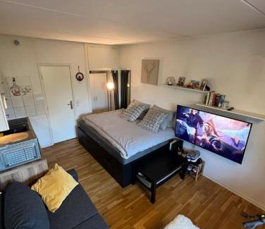 Tarnby Apartment | Cozy studio apartment - CPH Airport!