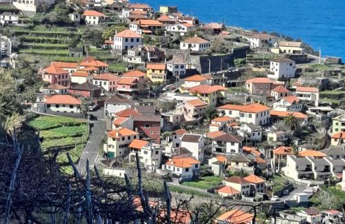 Porto Moniz Apartment | Cozy Studio - Chalé Seixal