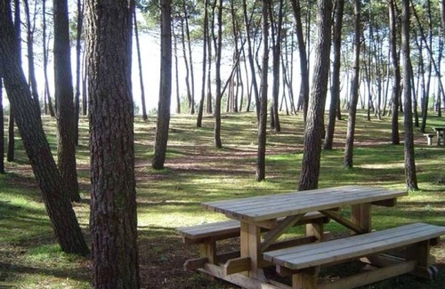LʼAiguillon-sur-Mer Apartment | Cozy Studio Near Beach, Center & Port for 2