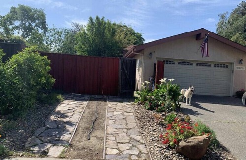 Davis Apartment | Cozy studio in Davis for you and your pet