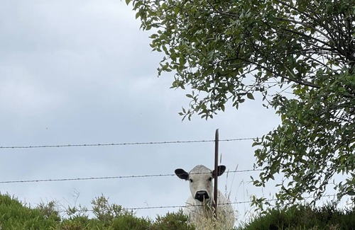 Ferndale House | Cozy view barn apartment overlooking farms