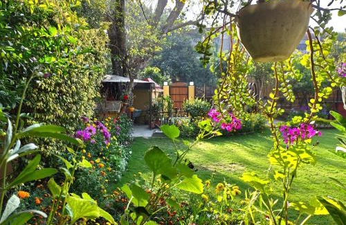 New Delhi Bed & Breakfast | Cp Villa - Rooms with Patio