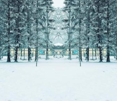 Altenau Apartment | CrisAnd Wald &Terrasse