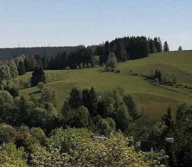 Altenau Apartment | CrisAnd Wald &Terrasse
