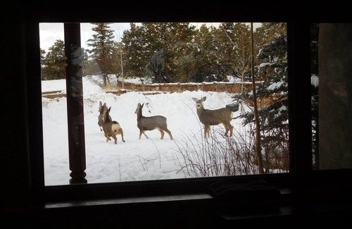 Valdez House | Crow's Nest at "Winsor Castle"
