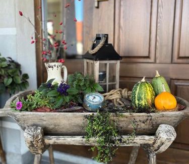 Joseni Bed & Breakfast | Csató Panzió - Pensiunea Csató