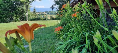 Zetea House | Csendes Bükk Kulcsosház