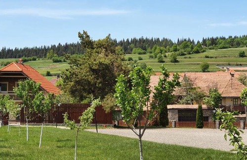 Capalnita Bed & Breakfast | Csillagösvény Panzió