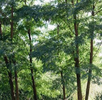 Eremitu Ski Chalet | Csodál-Lak