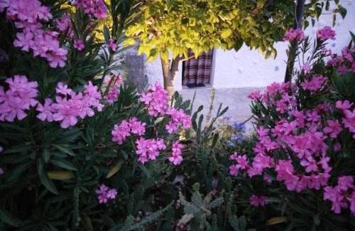 Villanueva de las Torres Apartment | Cuevas Los Coloraos - La Residencia