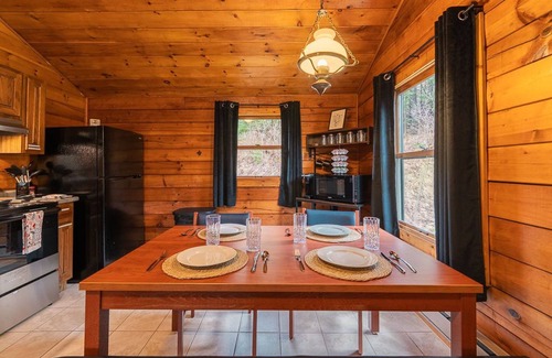 Mills Cabin | Custom Log Cabin #1 | Denton Hill State Park