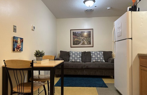Downtown Pittsburgh Apartment | Cute Downtown APT Quick Safe Walk to PPG Arena